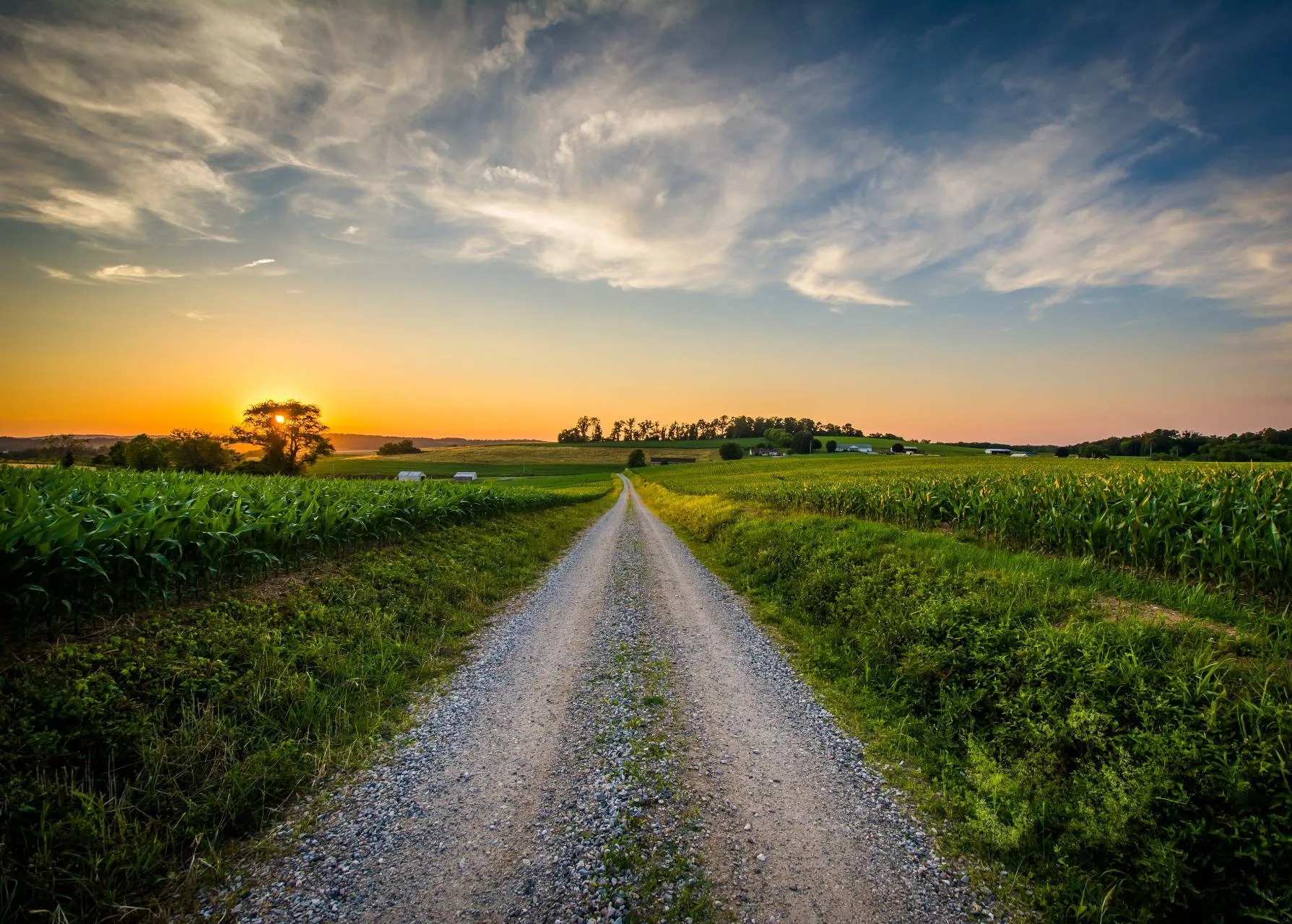 road nature